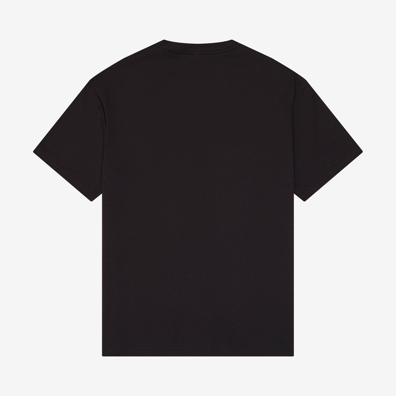 Back view of the Bella + Canvas Unisex 6 oz Heavyweight Tee in vintage black.
