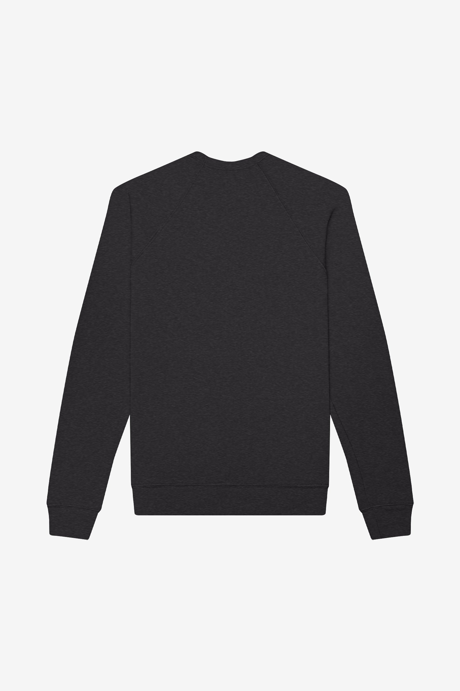 Back view of a Bella+Canvas unisex poly-cotton fleece raglan sweatshirt in dark grey heather.