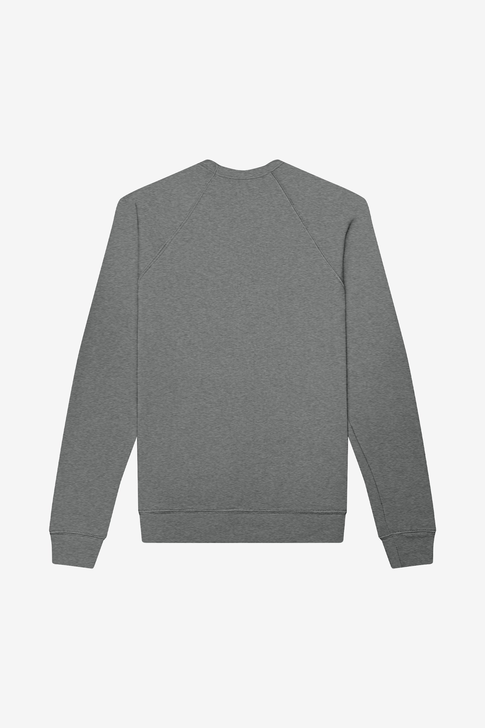 Back view of a Bella+Canvas Unisex Poly-Cotton Fleece Raglan Sweatshirt in Deep Heather.