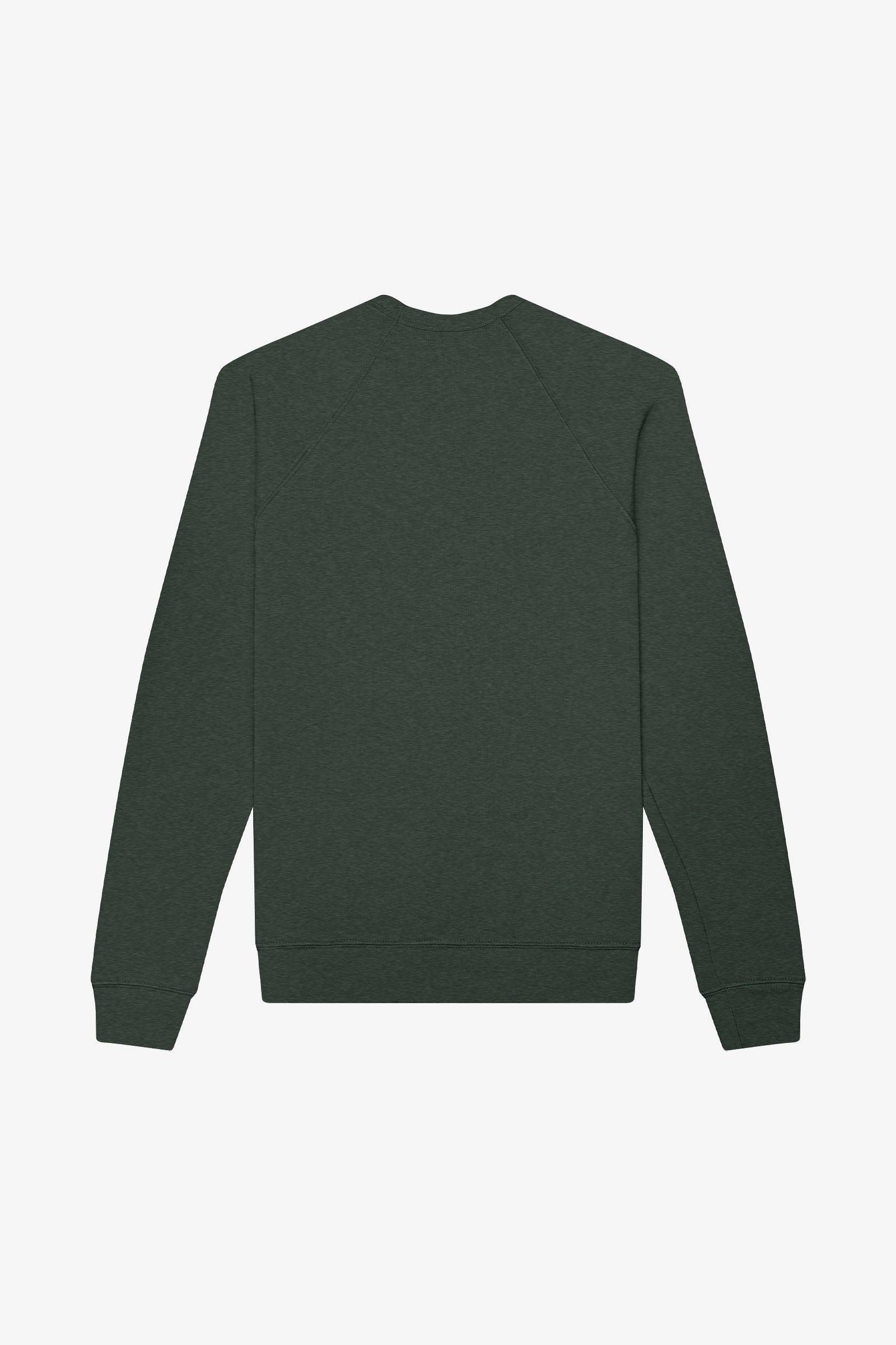 Back view of a Bella+Canvas Unisex Poly-Cotton Fleece Raglan Sweatshirt in Heather Forest.