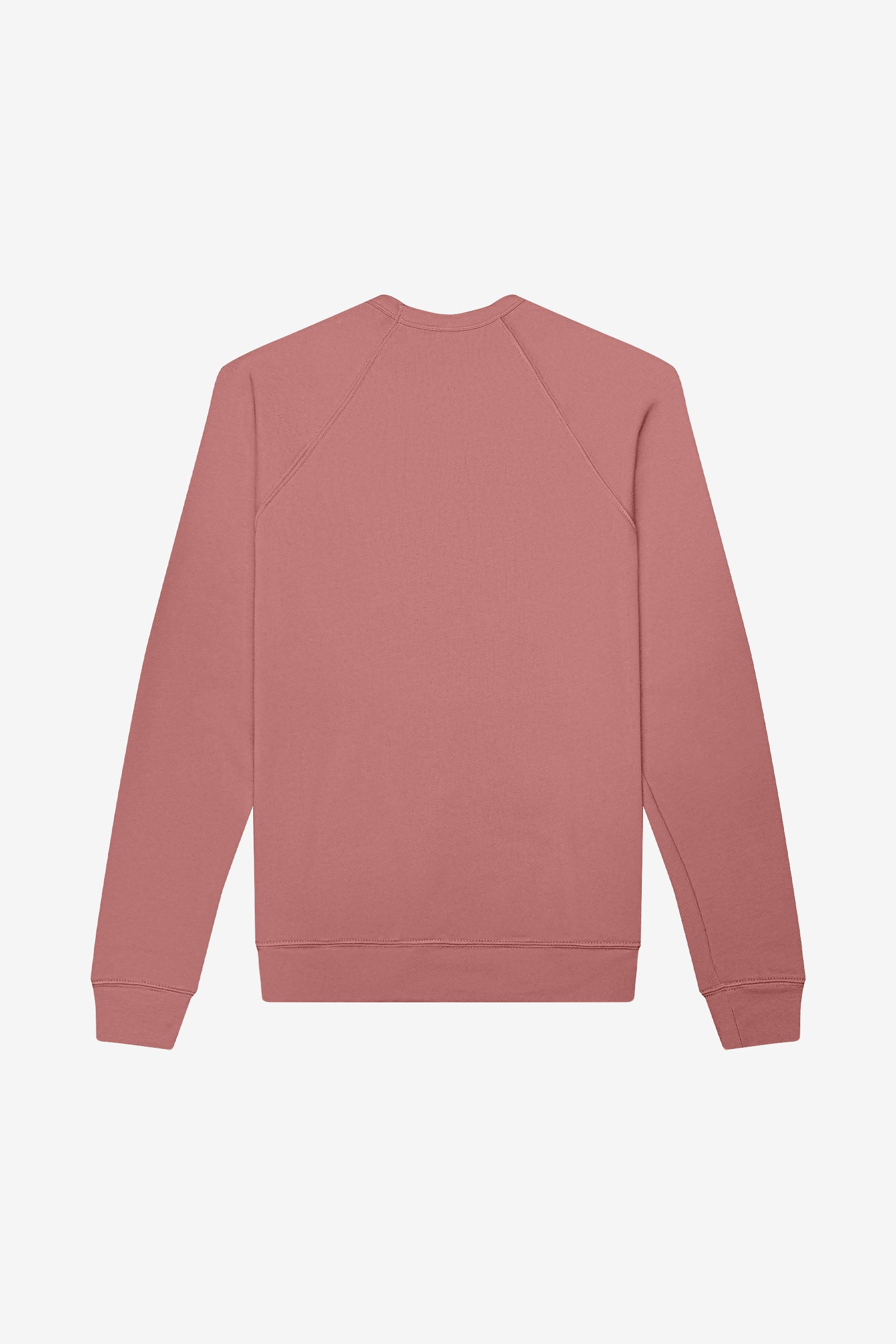 Back view of the Bella+Canvas Unisex Poly-Cotton Fleece Raglan Sweatshirt in mauve.
