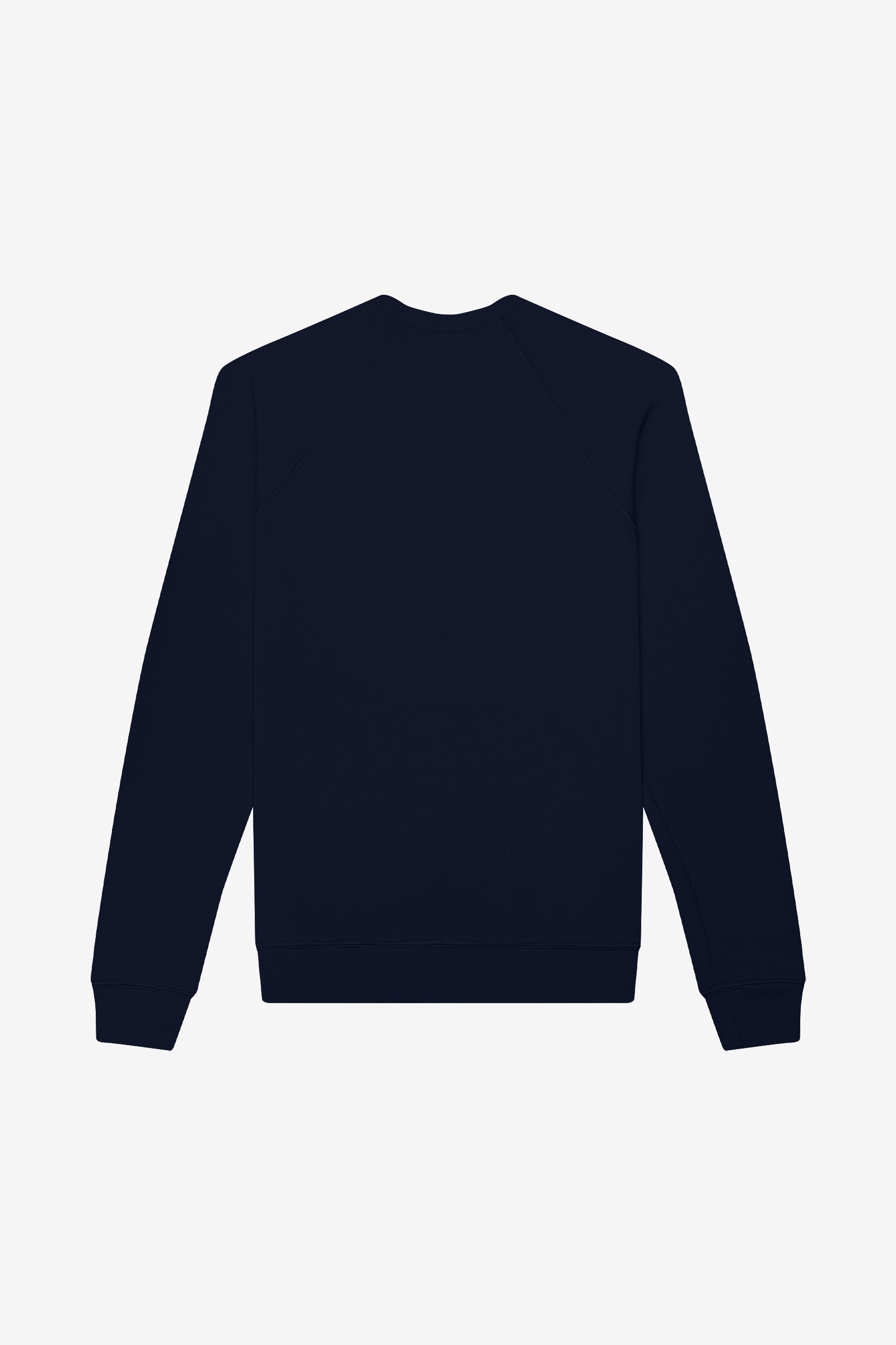 Back view of a Bella+Canvas Unisex Poly-Cotton Fleece Raglan Sweatshirt in navy.
